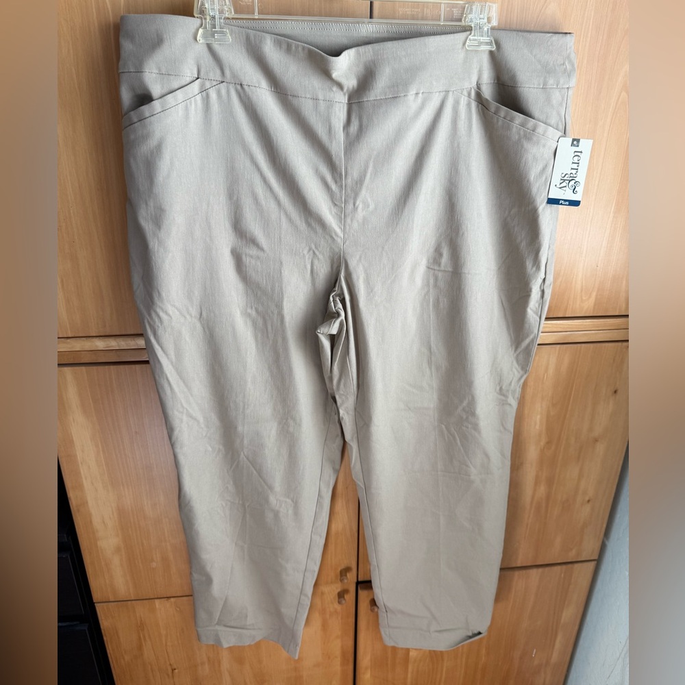 Terra & Sky Plus Size Light Brown Pants